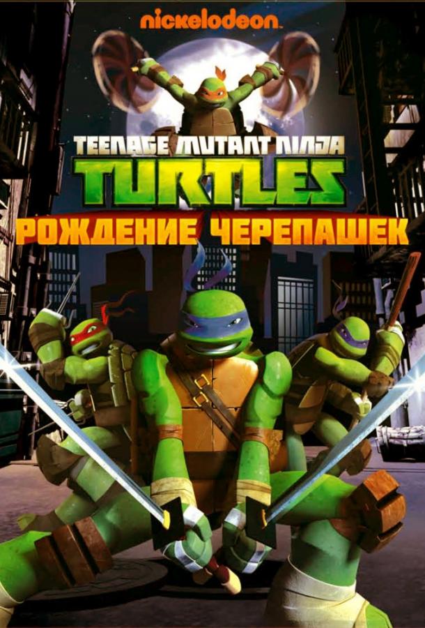 Черепашки-ниндзя (2012-2017)